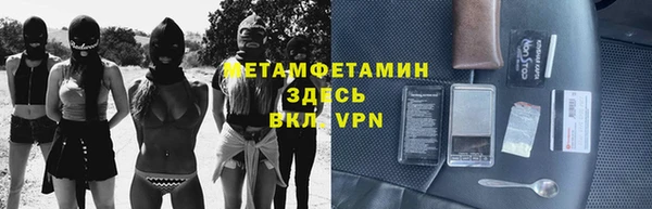 трава Аркадак