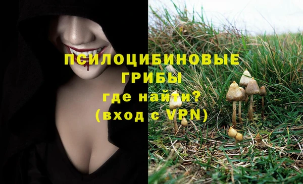 хмурый Армянск