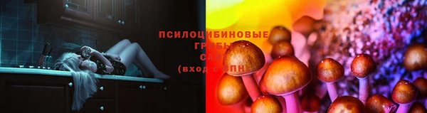 трава Аркадак