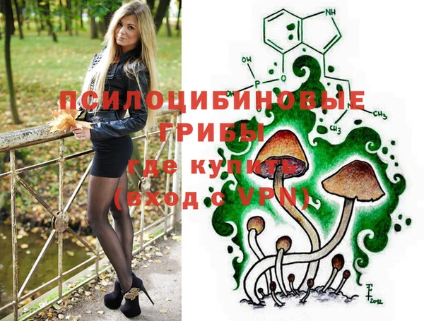 хмурый Армянск