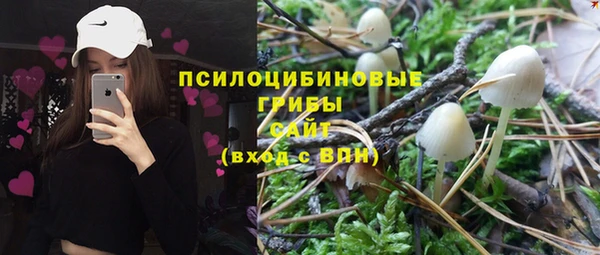 трава Аркадак