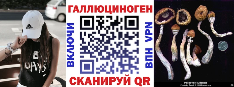 Псилоцибиновые грибы Psilocybine cubensis  Бавлы 